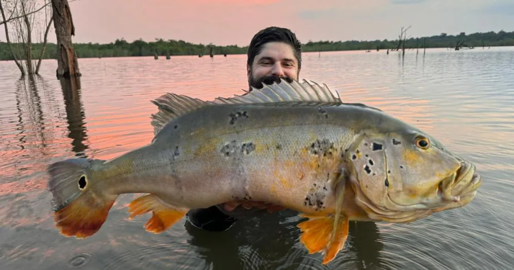 Foto: Arquivo Pessoal / Thiago Fantini.
